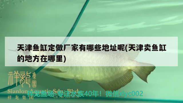 天津魚(yú)缸定做廠家有哪些地址呢(天津賣魚(yú)缸的地方在哪里) 圣菲埃及魚(yú)