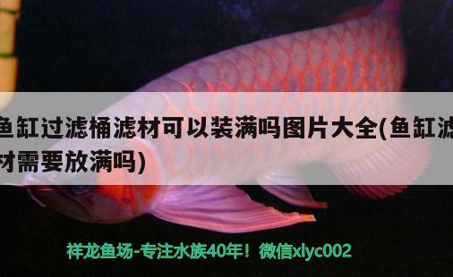 魚缸過濾桶濾材可以裝滿嗎圖片大全(魚缸濾材需要放滿嗎)