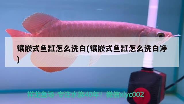 鑲嵌式魚缸怎么洗白(鑲嵌式魚缸怎么洗白凈)