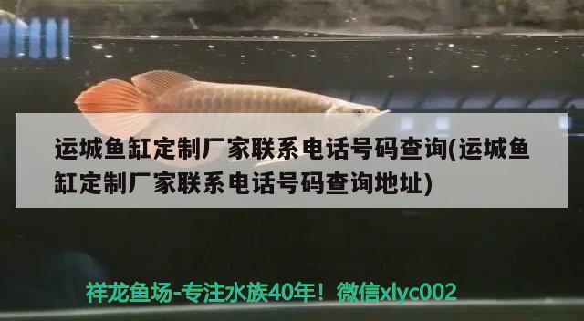 運城魚缸定制廠家聯(lián)系電話號碼查詢(運城魚缸定制廠家聯(lián)系電話號碼查詢地址) 過背金龍魚