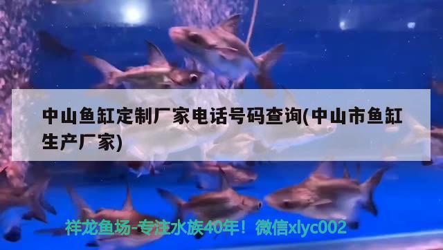 中山魚缸定制廠家電話號碼查詢(中山市魚缸生產(chǎn)廠家) 觀賞魚批發(fā)