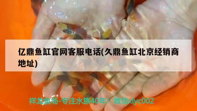 億鼎魚(yú)缸官網(wǎng)客服電話(huà)(久鼎魚(yú)缸北京經(jīng)銷(xiāo)商地址)