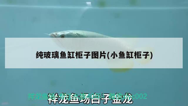 純玻璃魚缸柜子圖片(小魚缸柜子) 三間鼠魚苗