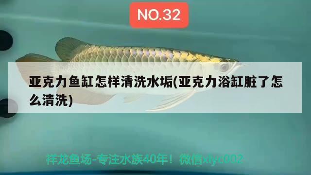 亞克力魚缸怎樣清洗水垢(亞克力浴缸臟了怎么清洗) 帝王迷宮