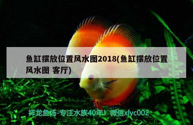 魚缸擺放位置風(fēng)水圖2018(魚缸擺放位置風(fēng)水圖客廳) 魚缸風(fēng)水