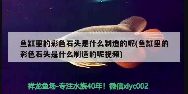 魚缸里的彩色石頭是什么制造的呢(魚缸里的彩色石頭是什么制造的呢視頻) 虎魚百科