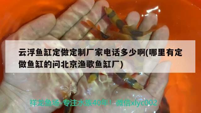 云浮魚缸定做定制廠家電話多少啊(哪里有定做魚缸的問北京漁歌魚缸廠) 細(xì)線銀版魚