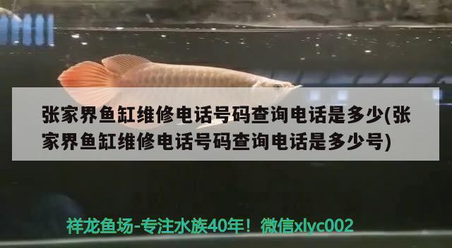 張家界魚缸維修電話號(hào)碼查詢電話是多少(張家界魚缸維修電話號(hào)碼查詢電話是多少號(hào))