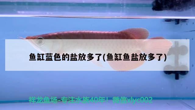 魚(yú)缸藍(lán)色的鹽放多了(魚(yú)缸魚(yú)鹽放多了) 魚(yú)缸等水族設(shè)備