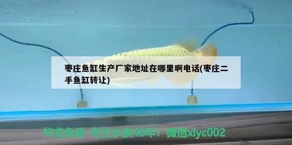 棗莊魚(yú)缸生產(chǎn)廠家地址在哪里啊電話(棗莊二手魚(yú)缸轉(zhuǎn)讓) 月光鴨嘴魚(yú)