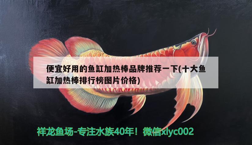 便宜好用的魚缸加熱棒品牌推薦一下(十大魚缸加熱棒排行榜圖片價(jià)格)