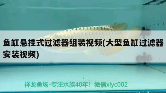 魚缸懸掛式過濾器組裝視頻(大型魚缸過濾器安裝視頻)