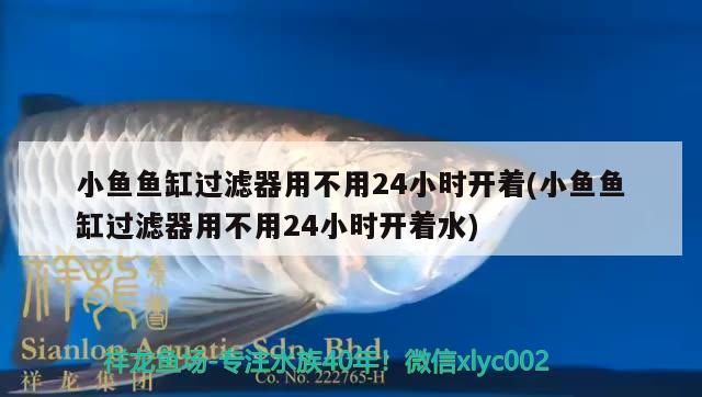 小魚(yú)魚(yú)缸過(guò)濾器用不用24小時(shí)開(kāi)著(小魚(yú)魚(yú)缸過(guò)濾器用不用24小時(shí)開(kāi)著水) 福虎/異型虎魚(yú)/純色虎魚(yú)