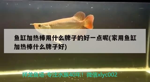 魚缸加熱棒用什么牌子的好一點(diǎn)呢(家用魚缸加熱棒什么牌子好)