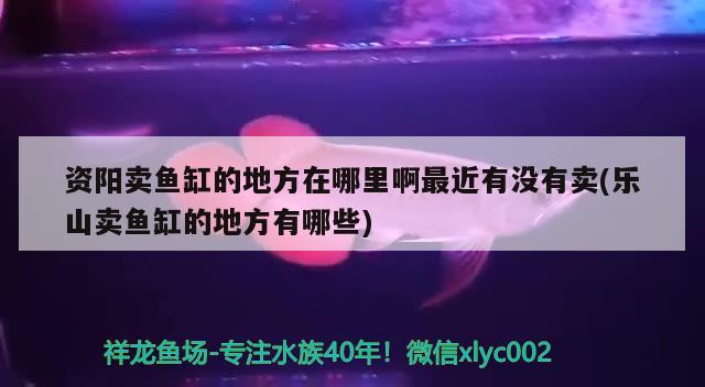 資陽賣魚缸的地方在哪里啊最近有沒有賣(樂山賣魚缸的地方有哪些) 潛水艇魚