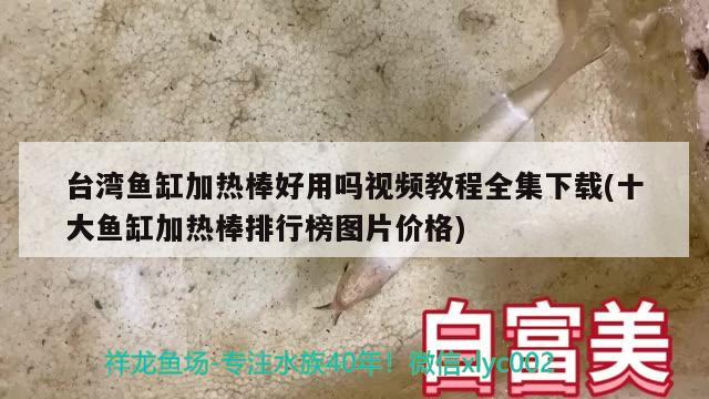 臺(tái)灣魚缸加熱棒好用嗎視頻教程全集下載(十大魚缸加熱棒排行榜圖片價(jià)格) 養(yǎng)魚知識(shí)