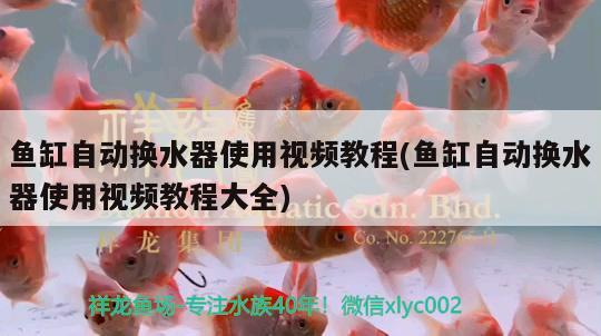 魚缸自動換水器使用視頻教程(魚缸自動換水器使用視頻教程大全)