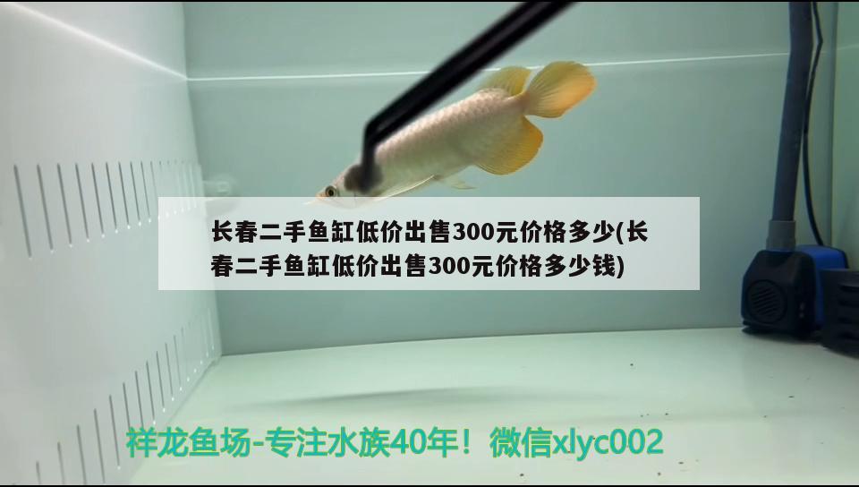 長春二手魚缸低價出售300元價格多少(長春二手魚缸低價出售300元價格多少錢)