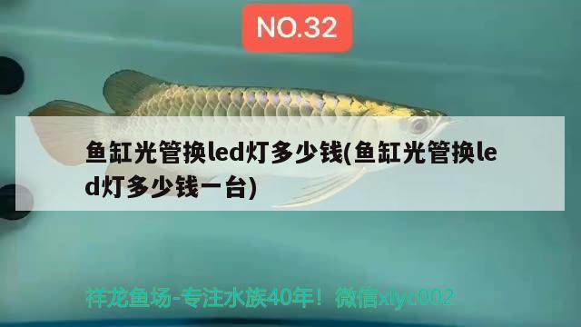 魚缸光管換led燈多少錢(魚缸光管換led燈多少錢一臺(tái)) 斑馬鴨嘴魚苗 第2張