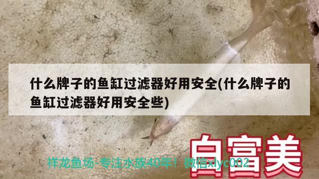 什么牌子的魚缸過濾器好用安全(什么牌子的魚缸過濾器好用安全些) 龍魚百科