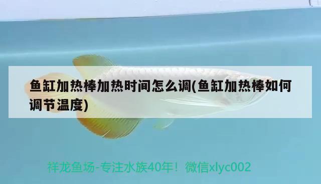 魚(yú)缸加熱棒加熱時(shí)間怎么調(diào)(魚(yú)缸加熱棒如何調(diào)節(jié)溫度) 玫瑰銀版魚(yú) 第1張