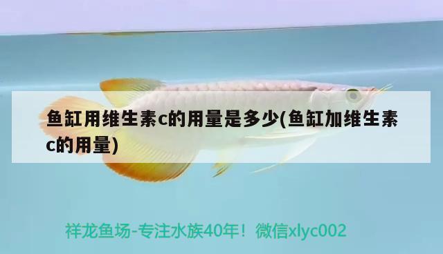 魚缸用維生素c的用量是多少(魚缸加維生素c的用量) 祥龍魚場