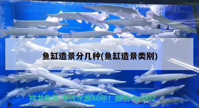 魚(yú)缸造景分幾種(魚(yú)缸造景類(lèi)別) 紅白錦鯉魚(yú)