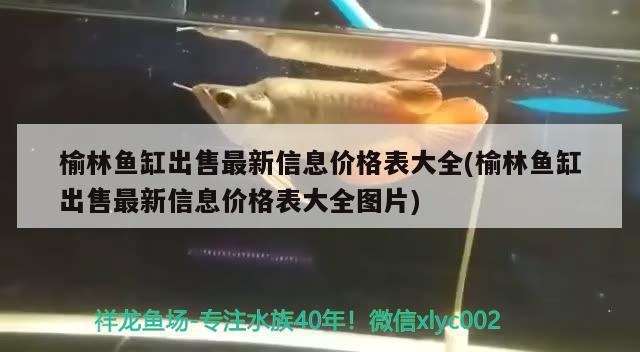 榆林魚缸出售最新信息價格表大全(榆林魚缸出售最新信息價格表大全圖片) 觀賞魚水族批發(fā)市場