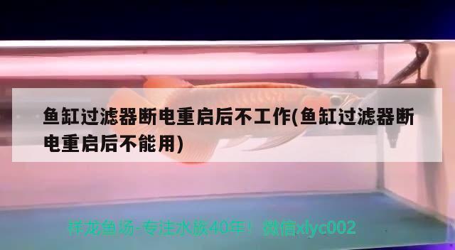 魚缸過濾器斷電重啟后不工作(魚缸過濾器斷電重啟后不能用) 一眉道人魚