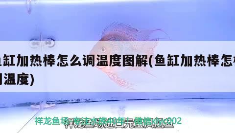 魚缸加熱棒怎么調溫度圖解(魚缸加熱棒怎樣調溫度)