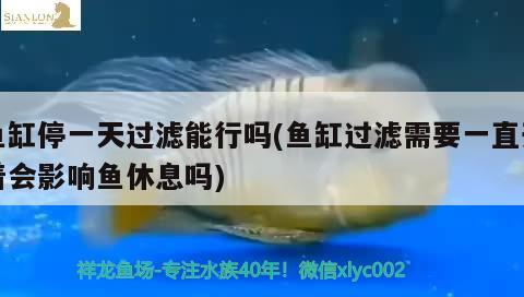 魚缸停一天過濾能行嗎(魚缸過濾需要一直開著會(huì)影響魚休息嗎) 丹頂錦鯉魚