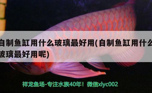 自制魚缸用什么玻璃最好用(自制魚缸用什么玻璃最好用呢) 海水魚（海水魚批發(fā)）