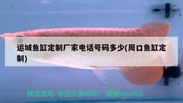 運(yùn)城魚(yú)缸定制廠家電話號(hào)碼多少(周口魚(yú)缸定制) 豬鼻龜百科