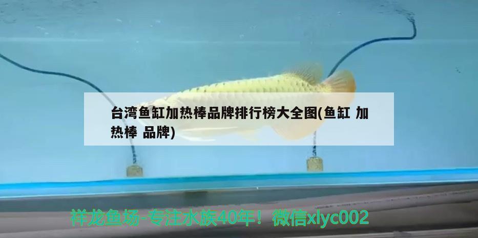 臺(tái)灣魚(yú)缸加熱棒品牌排行榜大全圖(魚(yú)缸加熱棒品牌)