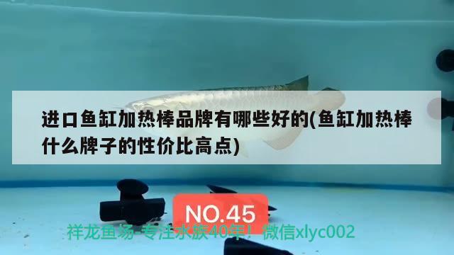 進口魚缸加熱棒品牌有哪些好的(魚缸加熱棒什么牌子的性價比高點) 泰國虎魚（泰虎）