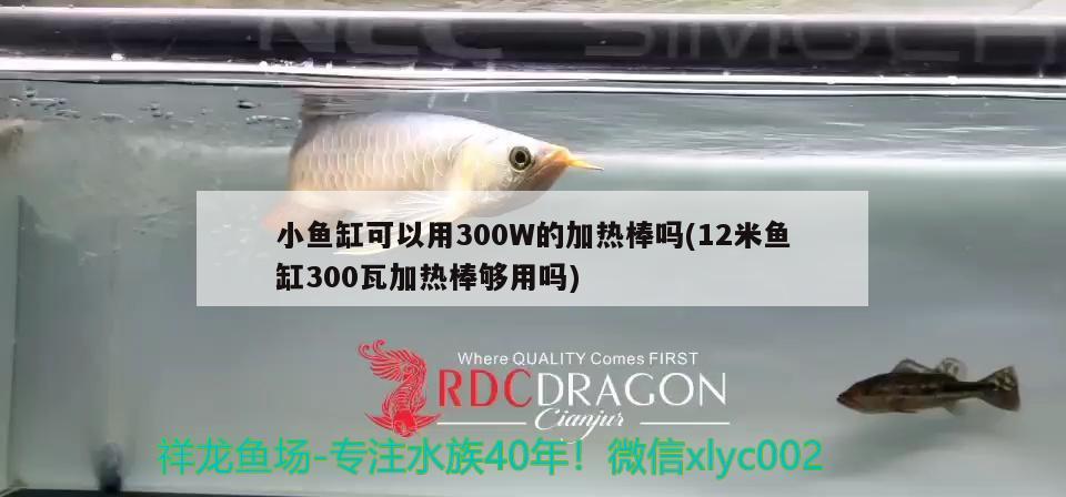 小魚缸可以用300W的加熱棒嗎(12米魚缸300瓦加熱棒夠用嗎) 熊貓異形魚L46