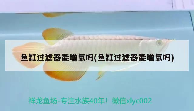 魚缸過濾器能增氧嗎(魚缸過濾器能增氧嗎)