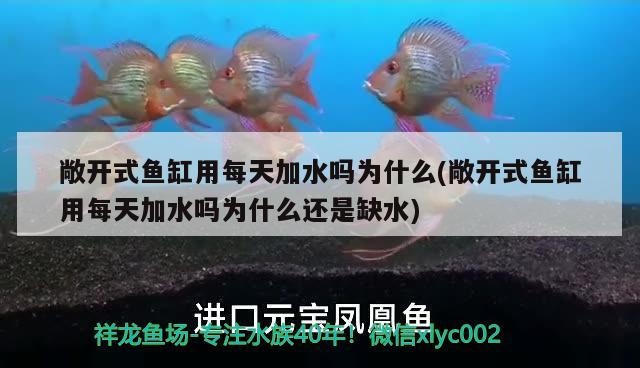 敞開式魚缸用每天加水嗎為什么(敞開式魚缸用每天加水嗎為什么還是缺水) 彩鰈魚缸（彩蝶魚缸）