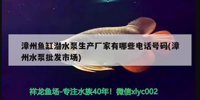 漳州魚(yú)缸潛水泵生產(chǎn)廠家有哪些電話號(hào)碼(漳州水泵批發(fā)市場(chǎng)) 申古三間魚(yú)