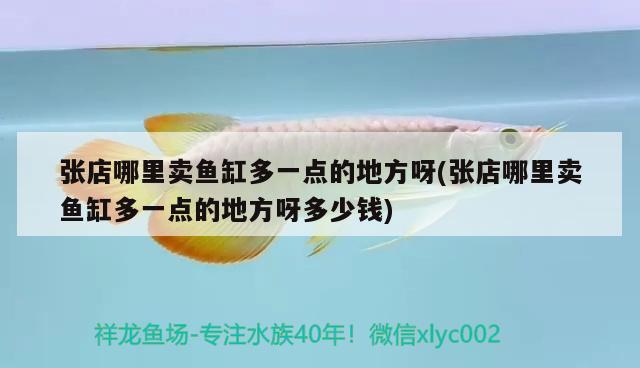 張店哪里賣魚缸多一點的地方呀(張店哪里賣魚缸多一點的地方呀多少錢) 朱巴利魚