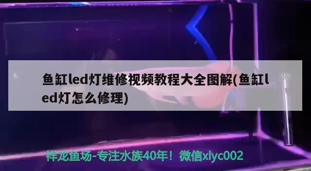 魚缸led燈維修視頻教程大全圖解(魚缸led燈怎么修理)