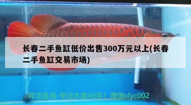 長(zhǎng)春二手魚缸低價(jià)出售300萬(wàn)元以上(長(zhǎng)春二手魚缸交易市場(chǎng)) 野彩魚