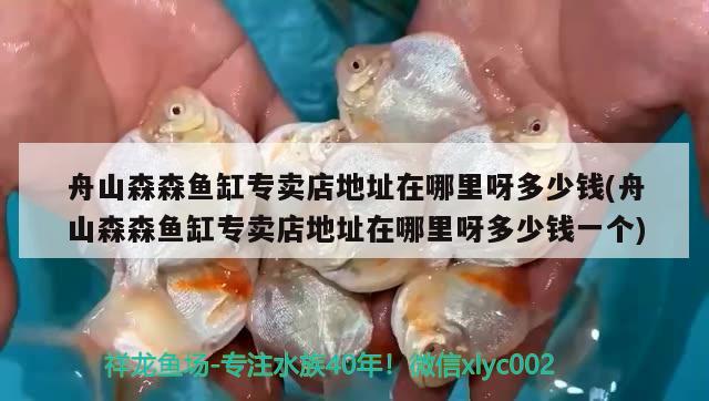 舟山森森魚缸專賣店地址在哪里呀多少錢(舟山森森魚缸專賣店地址在哪里呀多少錢一個) 新加坡號半紅龍魚（練手級紅龍魚）