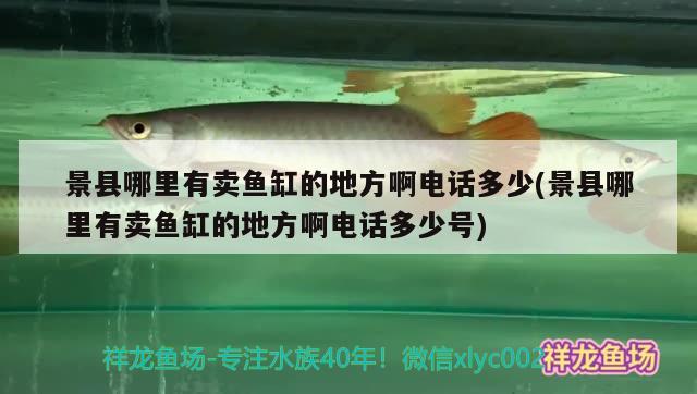 景縣哪里有賣魚缸的地方啊電話多少(景縣哪里有賣魚缸的地方啊電話多少號(hào))