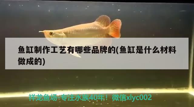 魚缸制作工藝有哪些品牌的(魚缸是什么材料做成的)