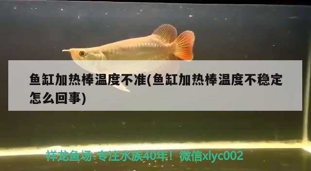 魚缸加熱棒溫度不準(zhǔn)(魚缸加熱棒溫度不穩(wěn)定怎么回事) 稀有金龍魚