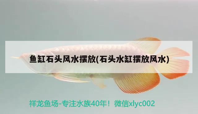 魚缸石頭風(fēng)水?dāng)[放(石頭水缸擺放風(fēng)水) 魚缸風(fēng)水