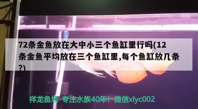 72條金魚放在大中小三個(gè)魚缸里行嗎(12條金魚平均放在三個(gè)魚缸里,每個(gè)魚缸放幾條?) 和尚魚