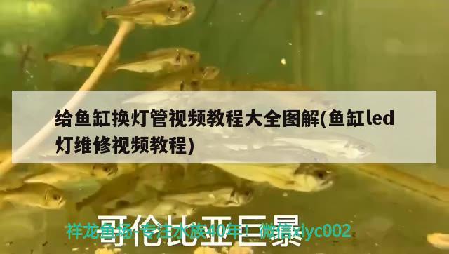 給魚缸換燈管視頻教程大全圖解(魚缸led燈維修視頻教程)