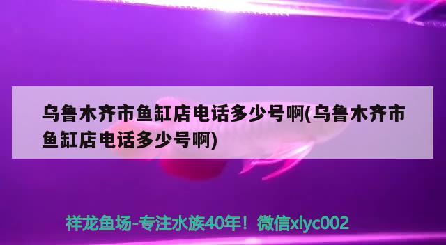 烏魯木齊市魚缸店電話多少號啊(烏魯木齊市魚缸店電話多少號啊) 南美異型魚